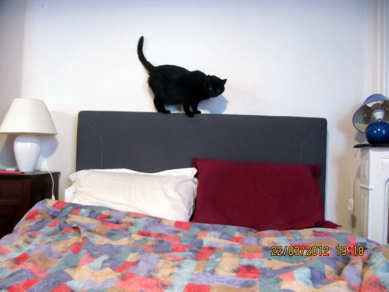 2012-03-24 Oslo 31 aout_l.jpg